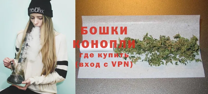 как найти   Пудож  Шишки марихуана White Widow 